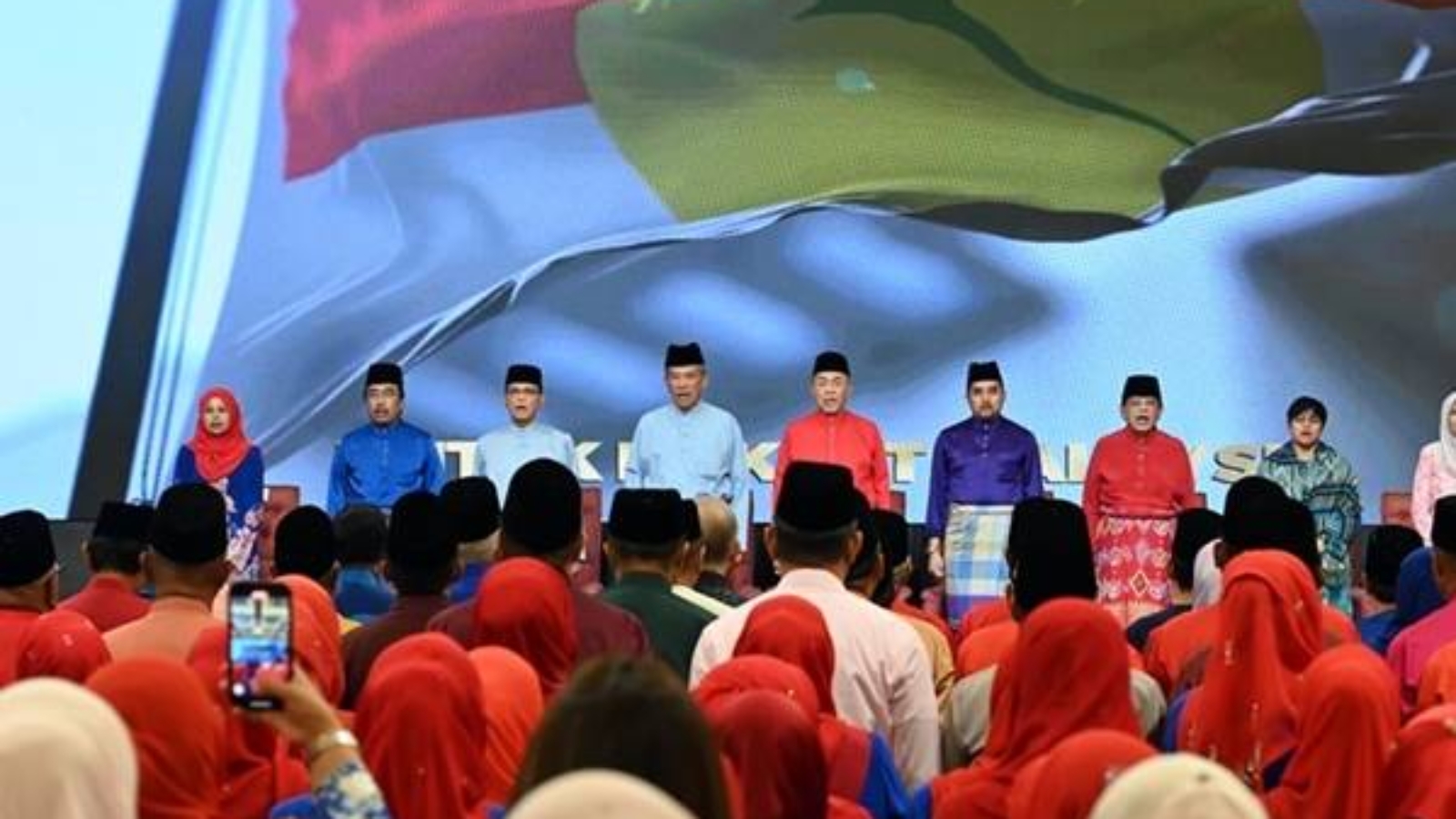 umno79zz